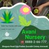 Avani Nursery Profile Picture