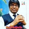 Raju Rajoria Profile Picture
