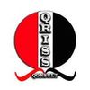 Qriss Bizz Qonsult Profile Picture