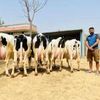 Tanger Dairy Farm Profile Picture