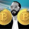 David FX Bitcoin Profile Picture