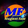 magnet fact Profile Picture