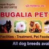 Bugalia Petcare Profile Picture