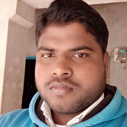 vinay Pratap  singh  Profile Picture