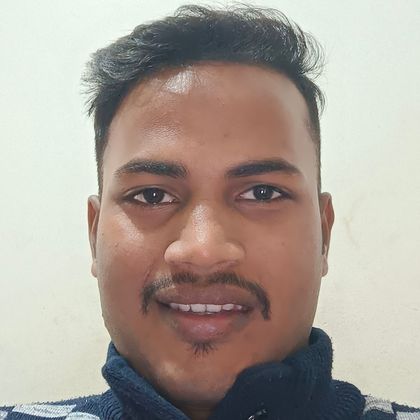 Dirgraj VISHWAKARMA Profile Picture