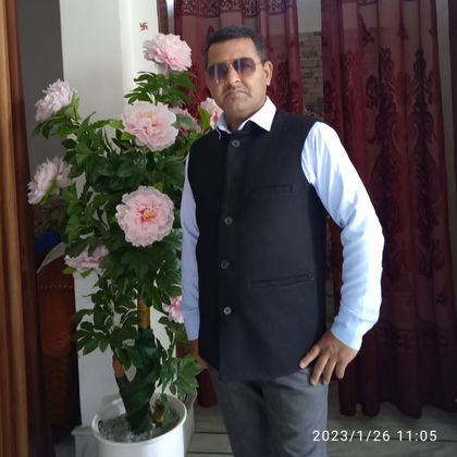 Rajesh Singh Profile Picture