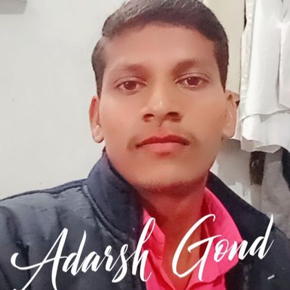 Adarsh Gond Profile Picture