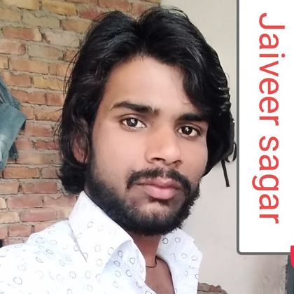 Jaiveer Sagar Profile Picture