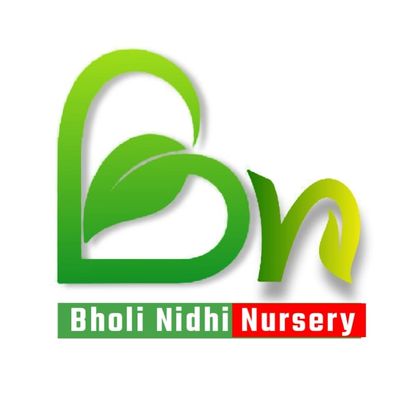 bholi  Nidhi nursery  Profile Picture
