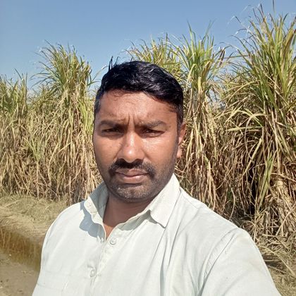 Ravinder Ahlawat Profile Picture