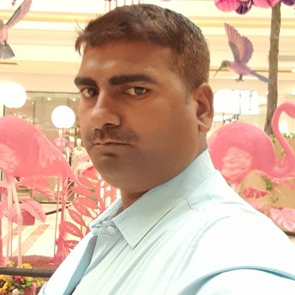 Kamal pal Profile Picture