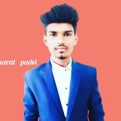 Mr.Bharat  Padvi Profile Picture