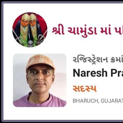 Naresh Prajapati Profile Picture