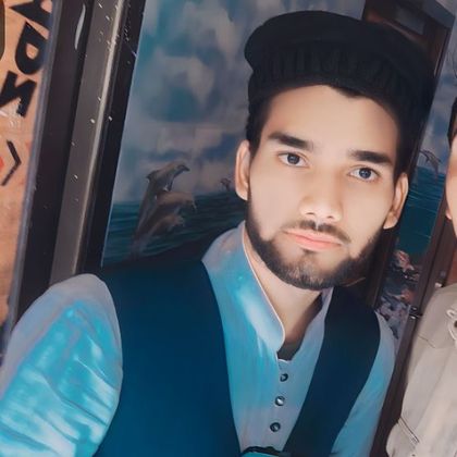 Zafar sultan Profile Picture
