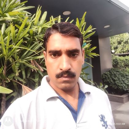 Neeraj singh Profile Picture