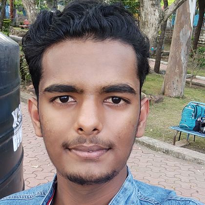 Sumit Sahu Profile Picture