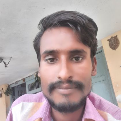 Vikash  Prajapati  Profile Picture