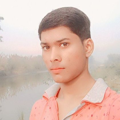 Avinash pal Profile Picture
