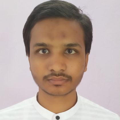 Md Shamshul Ansari Profile Picture