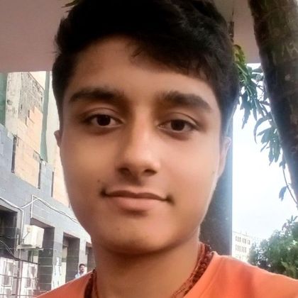 Ankit Raj Profile Picture