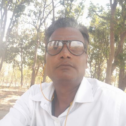 Rajesh singh Profile Picture