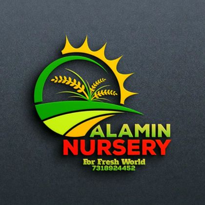Alamin Nursery Profile Picture
