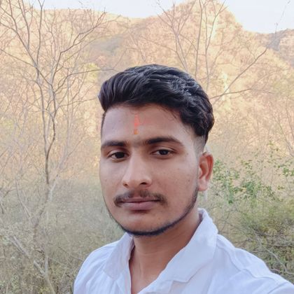 Ankit Thakur Profile Picture