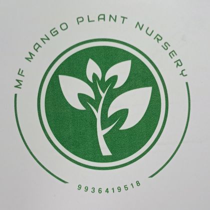 MF MANGO PLANT NURSERY Profile Picture