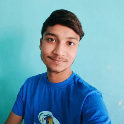 pradeep sain Profile Picture
